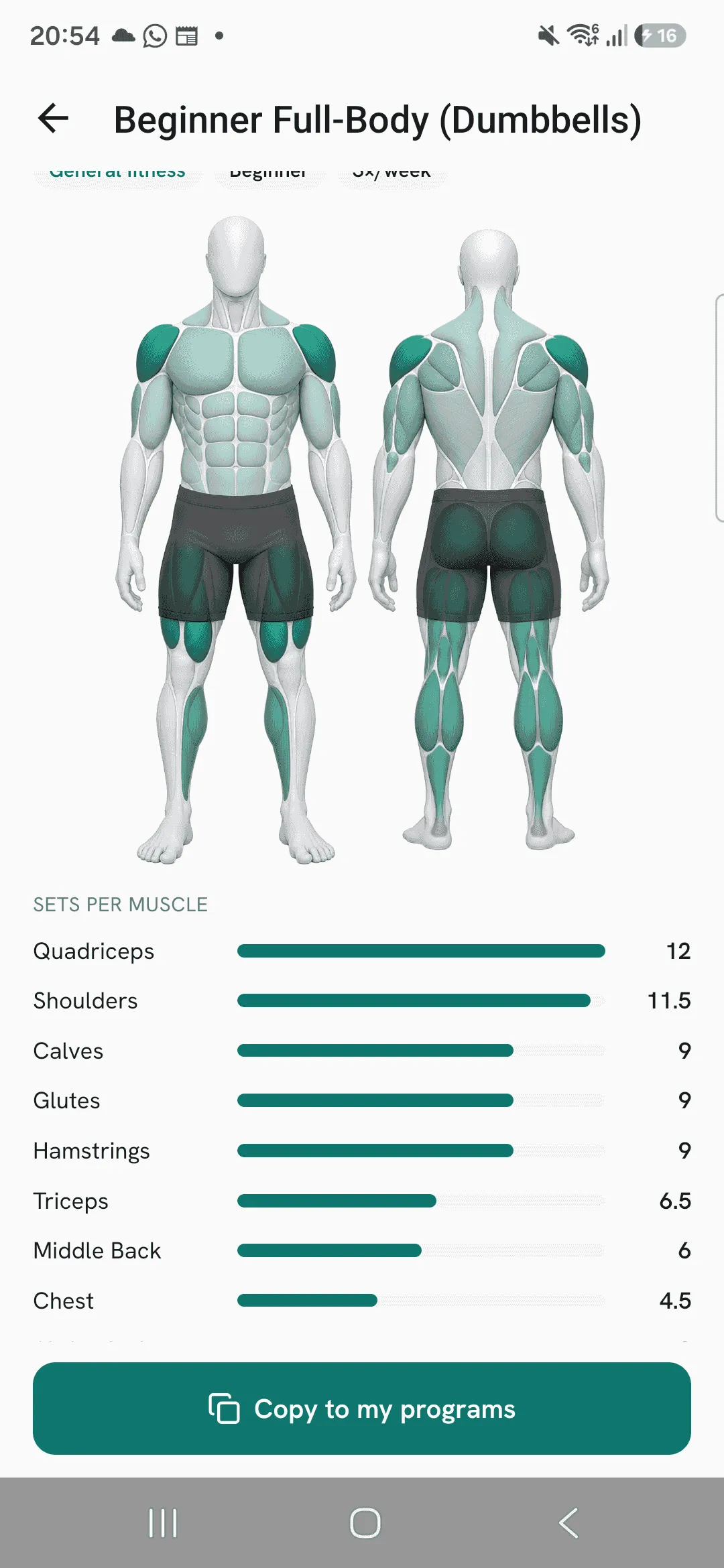 The Beginner Full-Body (Dumbbells) program with its muscle map and Sets per muscle bars, Quadriceps and Shoulders at the top.