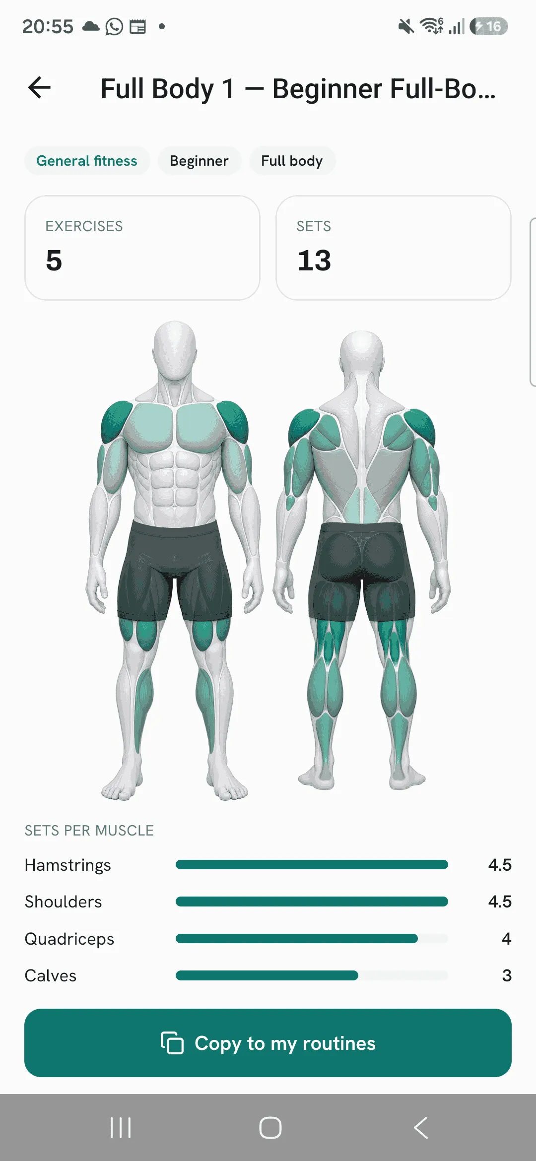 A library routine with 5 exercises and 13 sets, its muscle map, and the Copy to my routines button.